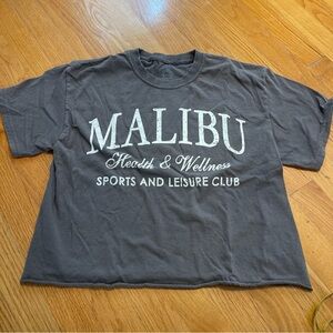 Gray Malibu Graphic T-Shirt